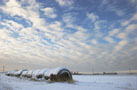 Snow Bale